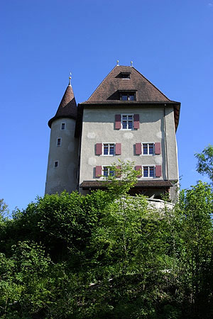 Diesbach-Zimmer Schloss Liebegg, Aargau