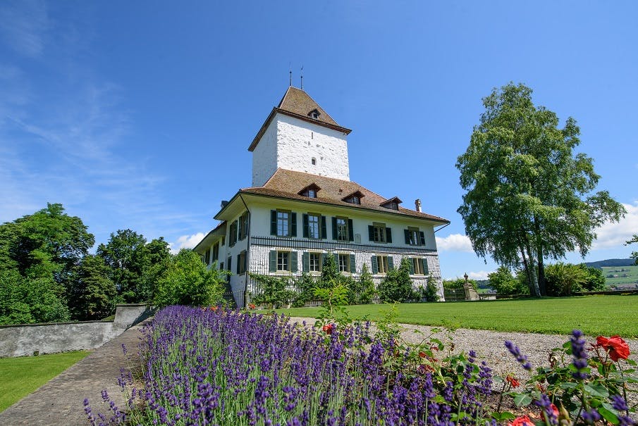 Schloss Wyl (im Härzlizimmer), Bern