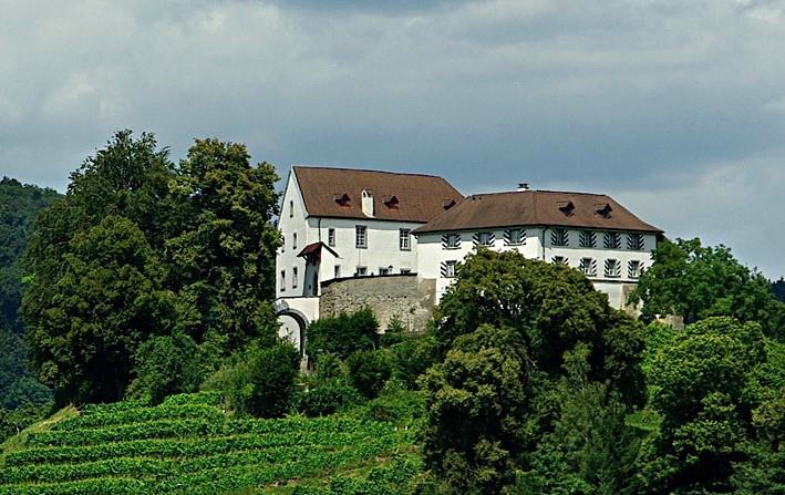 Johanniterkommende Reiden, Luzern