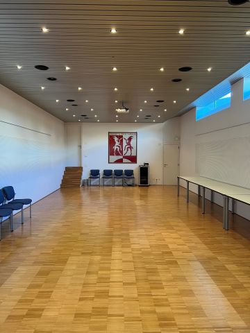 Sala Consiglio  Comunale, Tessin
