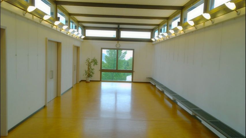 Sala Consiglio Comunale - Sala Vanini, Tessin