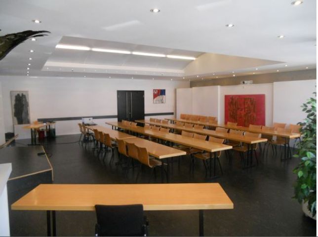 Sala Consiglio comunale, Tessin