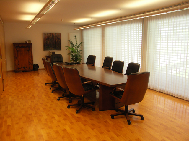 Sala del Municipio, Tessin