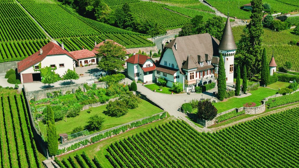 Château Maison Blanche d'Yvorne, Waadt