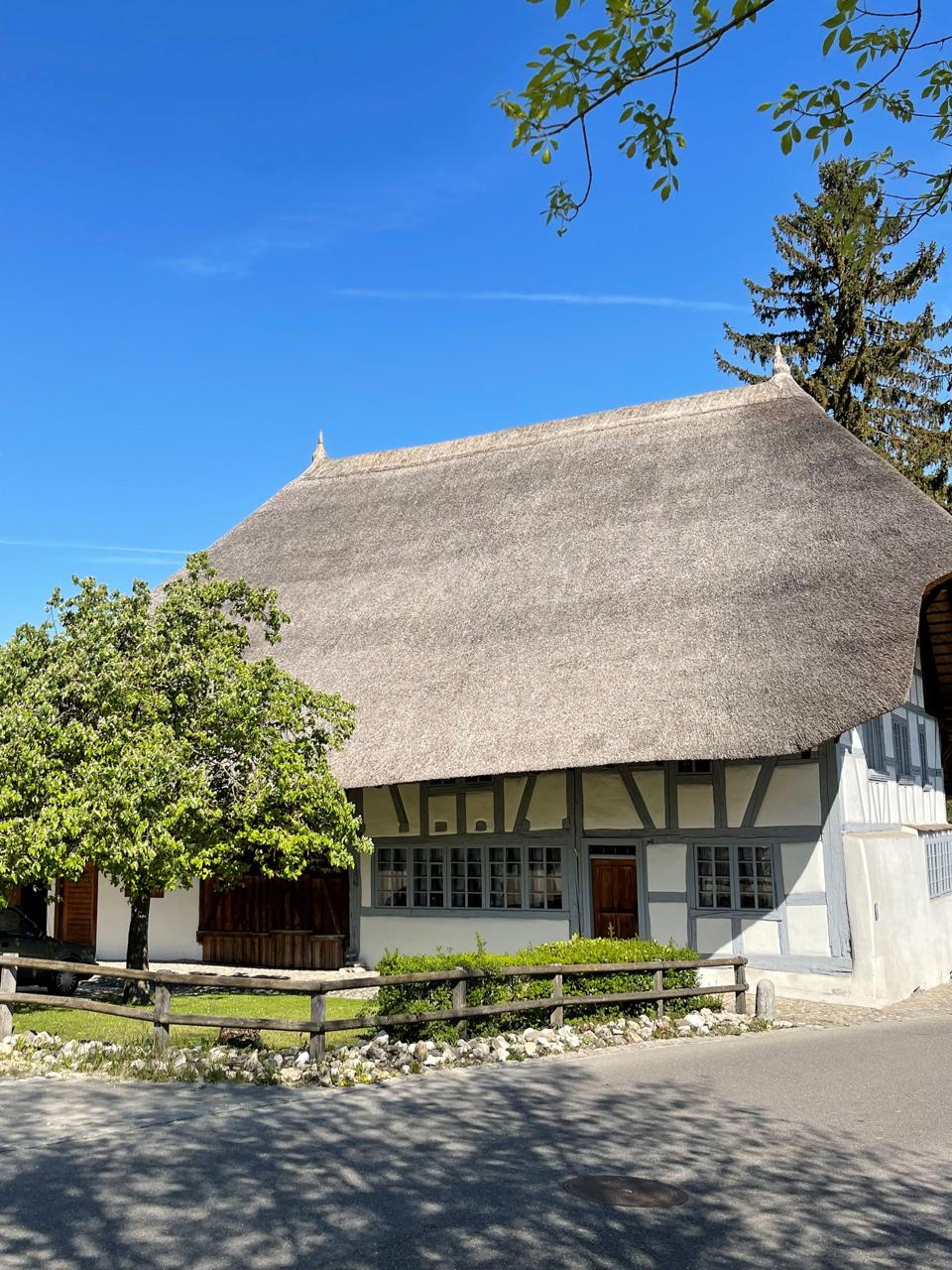 Strohdachhaus, Zürich